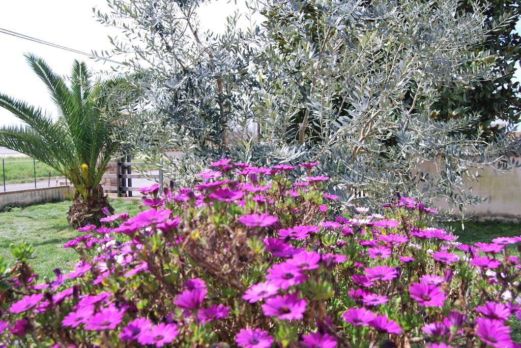 Agriturismo Torre Cristina Aprilia Exterior foto